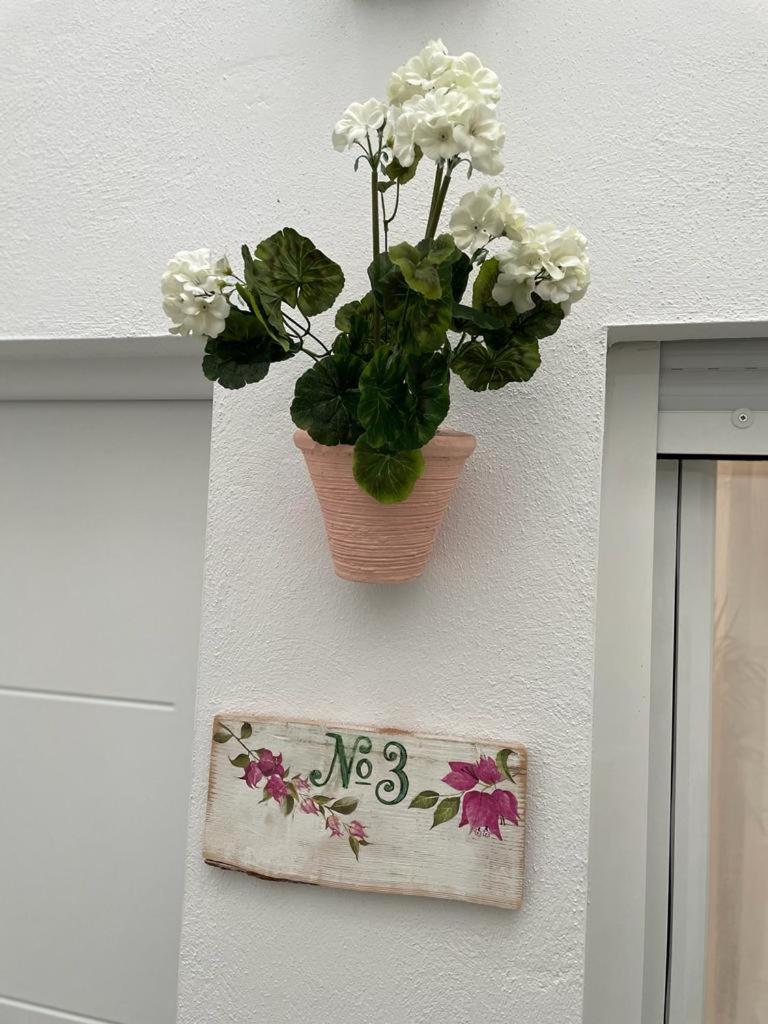 Appartement Casa El Gorras